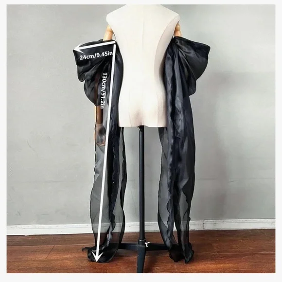 Elegant White Sheer Sleeves

Sheer Organza Bridal Sleeves - Picture 4 of 5